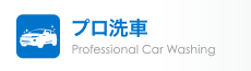 プロ洗車